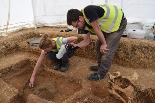 Почему раскопанный кельтский щит считается археологическим открытием тысячелетия?