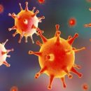 Редактор генома CRISPR впервые помог уничтожить спящие формы вируса герпеса